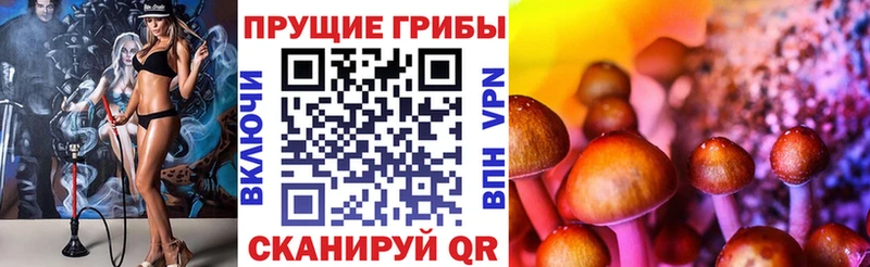 наркошоп  Клинцы  Псилоцибиновые грибы Psilocybine cubensis 
